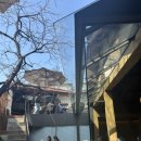 용산-306 | 후암동 숙대입구 용산 동굴컨셉 한옥카페 언뎁트...주말 웨이팅 커피 &amp; 티라미수 후기 (이색카페 추천)