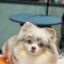 메종VIP203 이미지