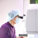 신세계의안 이미지