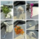 뚝딱맨 | [클레스튜디오] 뚝딱커플 웨딩촬영 후기 (권오찬 작가님) 제이웨딩 사비 10만원 페이백 이벤트