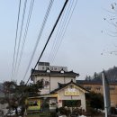 황금가든 | 남한산성 맛집 추천 보양식 은고개가든 황금옻닭 방문후기