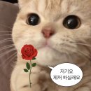 이마트24MS재건병원점 | 병상의 일기일게 2-(1)