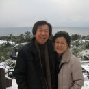 한열농장 Daum카페