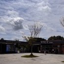 군산G&F | 전주 근교 17개월 아기랑 무료로 실내 가볼만한 곳 ㅣ 충남 서천 국립생태원 에코리움