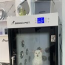 펫글타운 이미지