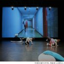[제3회 경기공연예술페스타] 한여름밤의 꿈 이미지