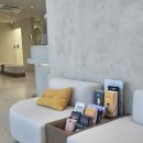 (주)필룸하이 | 성동구 피부과 울쎄라 400샷 +덴서티 하이 600샷 풀페이스 리프팅 후기