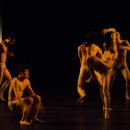 국립현대무용단 이미아직 이미지