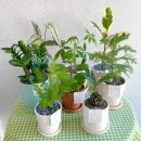 사림동191 이미지