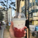 도그마캣신당점