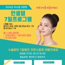 미사인셀덤