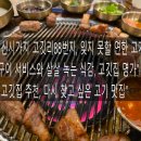 서초중앙로8길 88 (1) | 전주시 신시가지 고깃리88번지｜연하고 깔끔한 고기 맛집