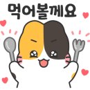 WOW 팡팡 이미지