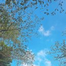 백운공원 배드민턴장 이미지