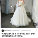 비케이(B.K)헤어 | [드레스샵투어.13] 르블랑 vs 로브드k 투어, 웨딩 플래너와 반드시 함께해야하는 이유!