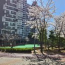 한라비발디 2단지(아) 이미지