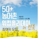 50플러스 특화사업 참여자 모집 네이버블로그