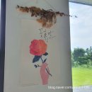 신효동카메라 | 제주도 스쿠버다이빙 _ 뉴헤븐다이브에서 보트다이빙으로 편하게 펀다이빙한 후기