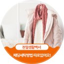 천일세탁 이미지