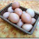 북부산등기소 이미지