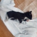 (주)뭉치