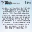 콩깍지 이미지