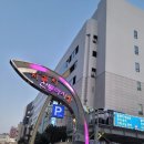 대성횟집 | 자갈치시장가성비횟집 찾다가 방문한 부산자갈치시장횟집 대성횟집 후기