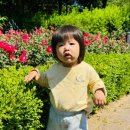 풀잎어린이집 이미지