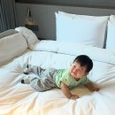 아기기린의옷장 | 9개월 아기랑 제주 해비치 호텔&리조트｜객실,수영장,아기용품대여,조식,키즈시설