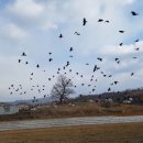 해암리 게바위 이미지