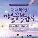 천혜플라워
