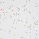 경산동물병원 이미지