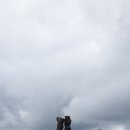 은티농장 이미지