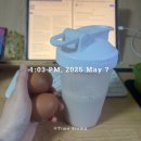 써니터틀 이미지