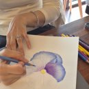 경기광주 태전동 보타니컬아트 수업 후기｜공간서행 5회차 클래스 기록