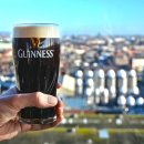 기네스 하우스 Guinness house 네이버블로그