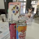 장화운동장 | 경기도 여주 반려마루 유기견 봉사활동 후기! 신청방법 및 주의사항 필독