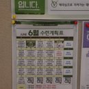 서산최강태권도 이미지