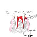괴정수석치과의원 이미지