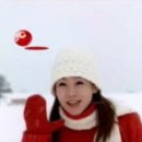 동일광고 - 진도군 | 동일광고