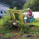 호박넝쿨 이미지