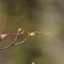 달빛마을 이미지