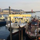 부산다대2동우체국 화장실 | 부산 다대포 배낚시 아차낚시 부시리,대방어, 대삼치 출조