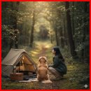 하나로동물약품 | 2026년, 반려동물과 함께 떠나는 '프라이빗 숲캉스' 완벽 가이드