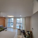 사계절커튼 이미지