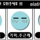 항산화제로 탄력을 높여주는 야생블루베리팩 이미지