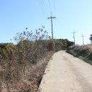 하만회관 이미지