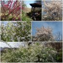 신영농장 이미지