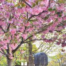 김육불망비 이미지