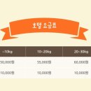 베버리 독스 이미지